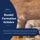 Bundel Formation - Techniques décoratives de base & Textures et enduits à la chaux (3jours)